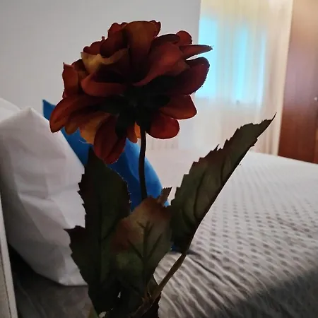 Centro Com Vista Panoramica 公寓 吉马良斯