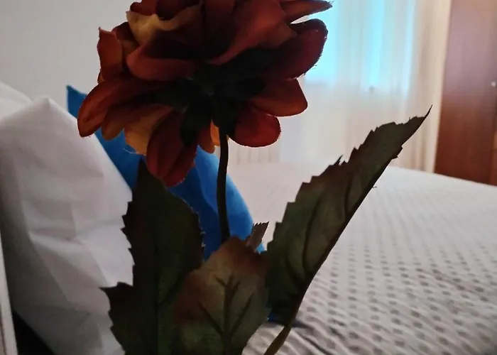 Centro Com Vista Panoramica Lejlighed Guimarães